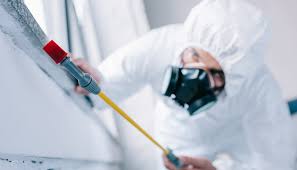 Pest Control for Hotels in Casey, IL